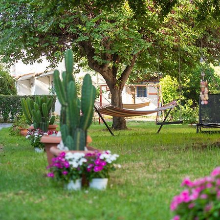 Amarylis Apartments Elaionas  Extérieur photo